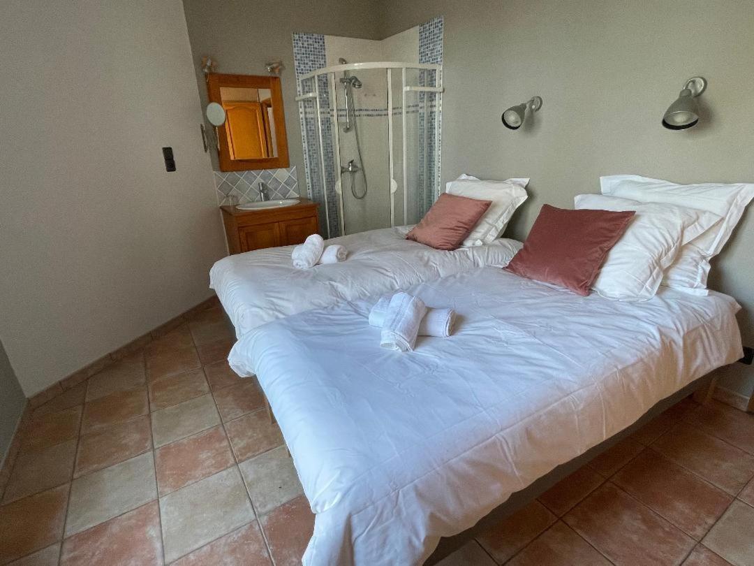Salagou - Vue Sur Le - 34800 - 6-8 Pers - 100m2 Holiday home Liausson